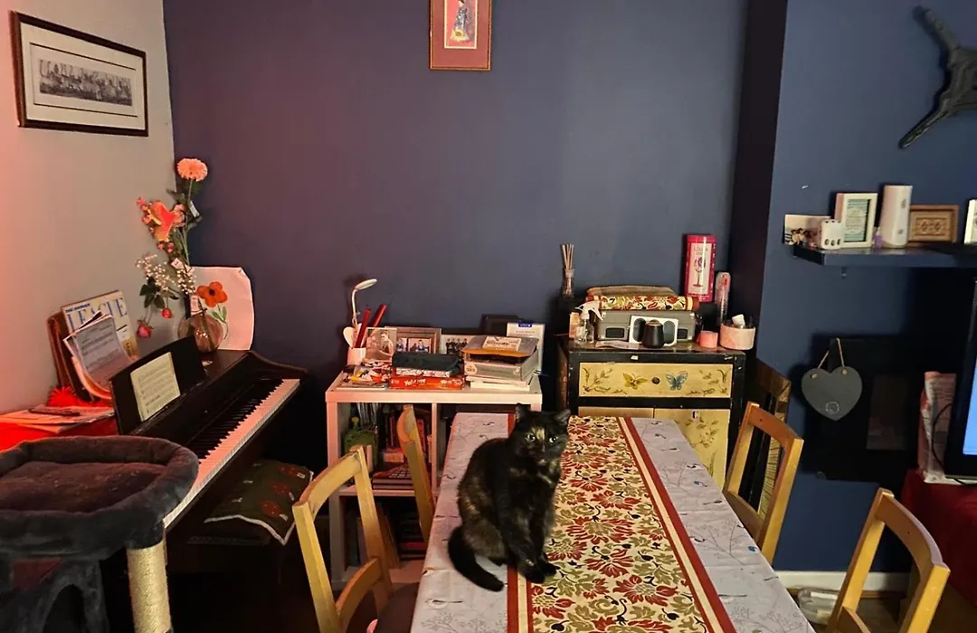 Comfortable Cat-Friendly Stay With Garden & Parking-1