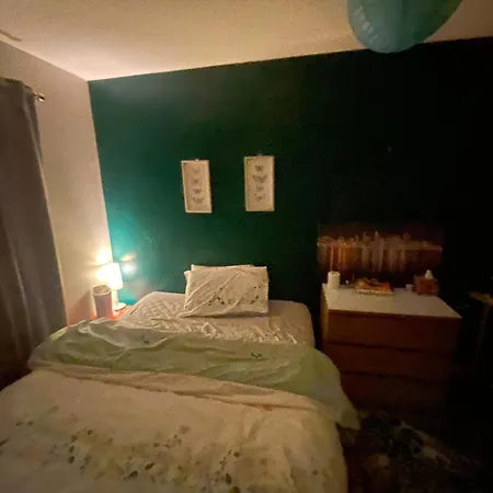 Comfortable Cat-Friendly Stay With Garden & Parking-3